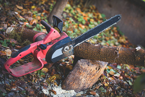 Leaf Removal in South Whitley, IN